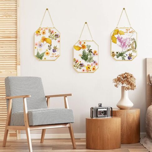 3 Pieces Hanging Gold Glass Floating Frame 8 x 10 Inch Octagon Brass Herbarium Glass Frame Double Clear Pressed Flower Frames for Plant Specimen Artwork Display Photo Dried Flowers Home DIY Decor in Saudi Arabia