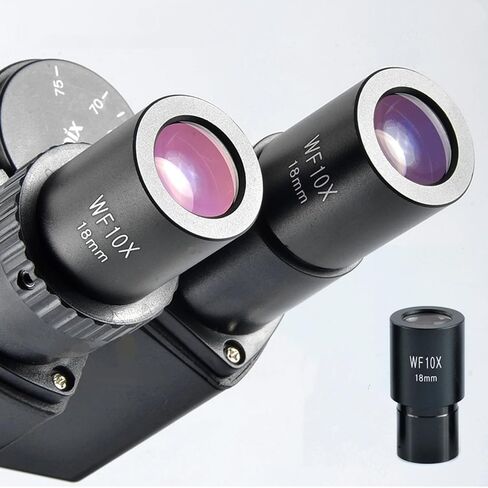 25X Microscope Eyepieces Accessories for Optical Microscope Eyepieces Biological Microscopes Lens (25X) in Saudi Arabia