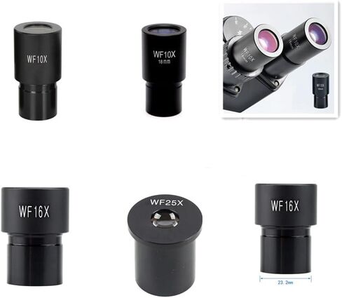 25X Microscope Eyepieces Accessories for Optical Microscope Eyepieces Biological Microscopes Lens (25X) in Saudi Arabia