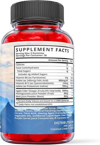 True North Hemp Gummies - True North Hemp Gummies with Hemp Extract - True North Hemp Gummy Multivitamin Advanced Formula Supplement (1 Pack) in Kuwait