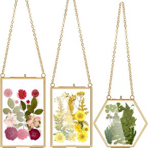 إطار صور معلق من النحاس من AVLA، إطار عائم زجاجي مزدوج مقاس 11 × 14 بوصة، إطار عرض عمل فني كبير للصور للزهور المضغوطة، إطار حائط المعرض الذهبي للعينة والشهادة وديكور المنزل
