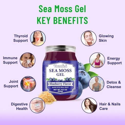 جل طحالب البحر 18.5 أونصة، نكهة الأناناس النباتية الخام العضوية لبشرة الشعر ودعم الغدة الدرقية والمناعة، جل طحالب البحر الأيرلندية المصنوعة يدويًا، طعام فائق غني بـ 102 فيتامين ومعادن in Kuwait