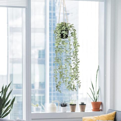 نباتات صناعية معلقة في الأماكن المغلقة مع شماعات، نباتات صناعية مزيفة من الأوكالبتوس لديكور المنزل في الداخل، ديكورات خضراء ونباتات وهمية لغرفة المعيشة وغرفة النوم والحمام والمطبخ والشرفة in Kuwait