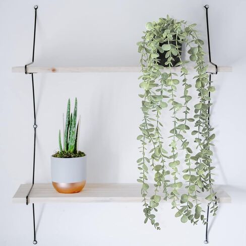 نباتات صناعية معلقة في الأماكن المغلقة مع شماعات، نباتات صناعية مزيفة من الأوكالبتوس لديكور المنزل في الداخل، ديكورات خضراء ونباتات وهمية لغرفة المعيشة وغرفة النوم والحمام والمطبخ والشرفة in Kuwait