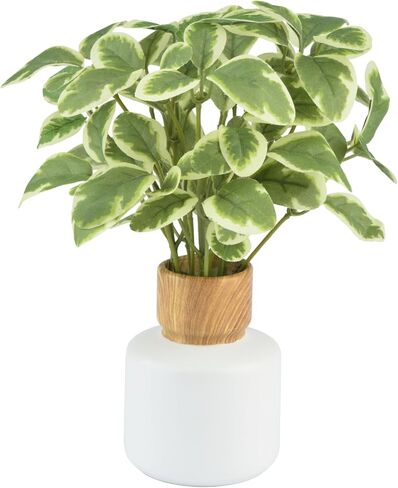 TOPSV نباتات صناعية داخلية، نباتات ديكور صناعي، ديكور أخضر لقطعة الطاولة المركزية، المطبخ، غرفة النوم، غرفة المعيشة، نباتات مكتبية للمكتب، الفندق، المقهى، المطعم in Kuwait