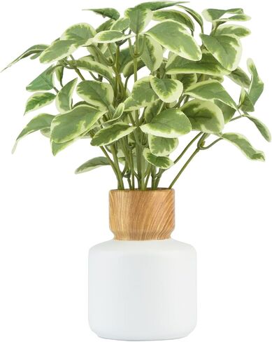 TOPSV نباتات صناعية داخلية، نباتات ديكور صناعي، ديكور أخضر لقطعة الطاولة المركزية، المطبخ، غرفة النوم، غرفة المعيشة، نباتات مكتبية للمكتب، الفندق، المقهى، المطعم in Kuwait