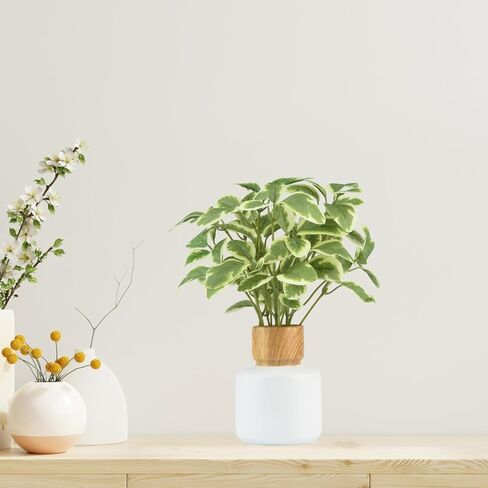 TOPSV نباتات صناعية داخلية، نباتات ديكور صناعي، ديكور أخضر لقطعة الطاولة المركزية، المطبخ، غرفة النوم، غرفة المعيشة، نباتات مكتبية للمكتب، الفندق، المقهى، المطعم in Kuwait