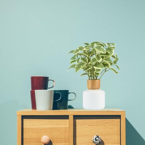 TOPSV نباتات صناعية داخلية، نباتات ديكور صناعي، ديكور أخضر لقطعة الطاولة المركزية، المطبخ، غرفة النوم، غرفة المعيشة، نباتات مكتبية للمكتب، الفندق، المقهى، المطعم in Kuwait