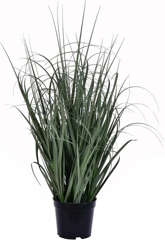 Vickerman Everyday 60" Artificial Potted Green Ryegrass with Black Plastic Pot - Faux Grass Plant Decor - Home Or Office Indoor Greenery Accent - Maintenance Free in Saudi Arabia