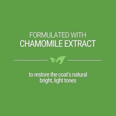 Green Groom White Dog Shampoo, 16 oz - Naturally Derived, Chamomile Extract, Infused with Coconut Oil and Protein, Restores Coat's Natural Shade, Brightens and Whitens… in Kuwait