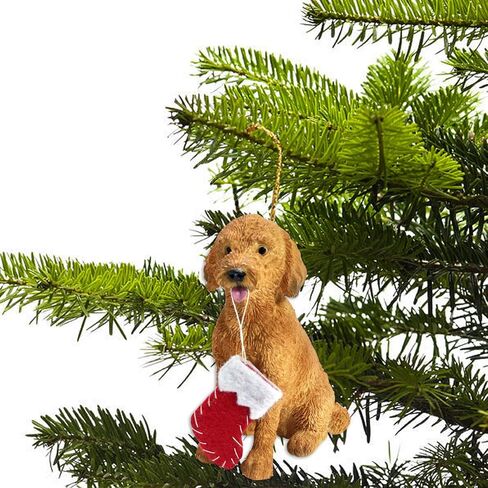 Sandicast Goldendoodle مع زخرفة عيد الميلاد الجورب in Kuwait