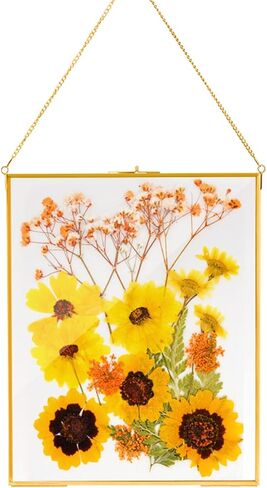 إطار صور معلق من النحاس من AVLA، إطار عائم زجاجي مزدوج مقاس 11 × 14 بوصة، إطار عرض عمل فني كبير للصور للزهور المضغوطة، إطار حائط المعرض الذهبي للعينة والشهادة وديكور المنزل in Saudi Arabia