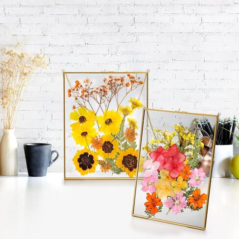 إطار صور معلق من النحاس من AVLA، إطار عائم زجاجي مزدوج مقاس 11 × 14 بوصة، إطار عرض عمل فني كبير للصور للزهور المضغوطة، إطار حائط المعرض الذهبي للعينة والشهادة وديكور المنزل in Saudi Arabia