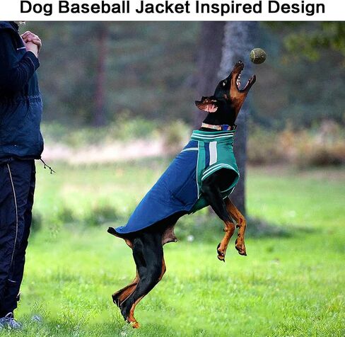 Dog Coat with Harness, Baseball Jacket for Medium and Large Dogs, Windproof Dog Warm Coat with Fleece Lining for Winter Outdoor (5XL) in Saudi Arabia