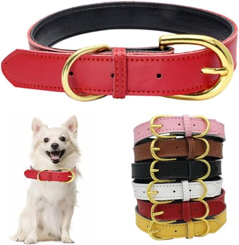 Hotlion طوق كلب من الجلد الطبيعي الأساسية الكلاسيكية لينة مبطن أطواق للحيوانات الأليفة قابل للتعديل للقطط هريرة جرو الكلاب الصغيرة المتوسطة الأزرق M in Kuwait