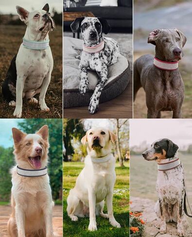 حجر الراين طوق الكلب للفتيات الأولاد، مع علامات الكلب المكتوبة بخط اليد لطيف المبهر تألق جلد الغزال الناعم جميلة بلينغ كريستال الماس القط الحيوانات الأليفة الصغيرة المتوسطة الكبيرة الذكور الإناث، الوردي S in Kuwait