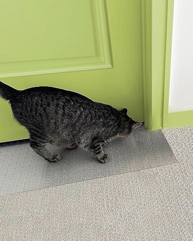 Helidrago Plastic Carpet Protector for Pets, Cat Carpet Scratch Stopper for Doorway, Clear Anti Scratch Protector Mat Under Door 15" x 42" in Kuwait