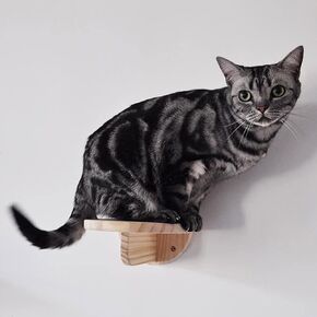 مجموعة ارفف حائط للقطط، درج تسلق حائط خشبي للقطط - سلم حائط للقطط، رف حائط للقطط، رف تسلق القطط من الخشب الصلب للعب في الاماكن المغلقة (مجموعة واحدة) in Kuwait