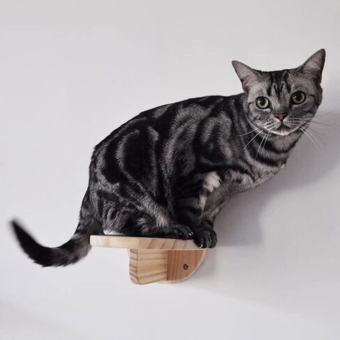 مجموعة ارفف حائط للقطط، درج تسلق حائط خشبي للقطط - سلم حائط للقطط، رف حائط للقطط، رف تسلق القطط من الخشب الصلب للعب في الاماكن المغلقة (مجموعة واحدة) in Kuwait