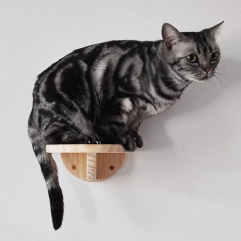 مجموعة ارفف حائط للقطط، درج تسلق حائط خشبي للقطط - سلم حائط للقطط، رف حائط للقطط، رف تسلق القطط من الخشب الصلب للعب في الاماكن المغلقة (مجموعة واحدة) in Kuwait