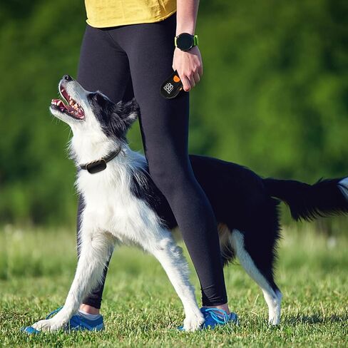 طوق صدمات للكلاب - [إصدار جديد] طوق تدريب للكلاب مع جهاز تحكم عن بعد بطول 2600 قدم، طوق صدمات للكلاب الصغيرة والمتوسطة الكبيرة بوزن 8-120 رطل، طوق E قابل لإعادة الشحن مقاوم للماء مع صوت تنبيه، اهتزاز، صدمة آمنة (أسود) in Kuwait