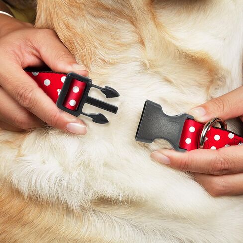 BUCKLE-DOWN DC BKSR-WDY240-1.0-M 1' Fits 11-17' Neck Mediuwide m Multi-color Dog collar in Saudi Arabia