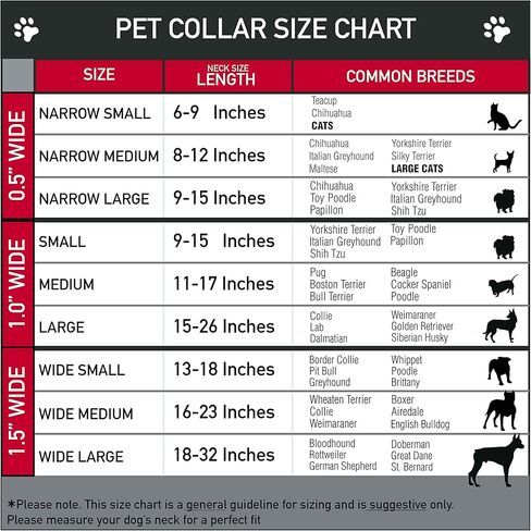 BUCKLE-DOWN DC BKSR-WDY240-1.0-M 1' Fits 11-17' Neck Mediuwide m Multi-color Dog collar in Saudi Arabia