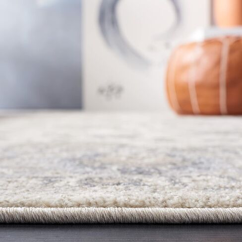 SAFAVIEH Sofia Collection 3' x 5' Light Grey/Beige SOF330B Vintage Oriental Distressed Non-Shedding Living Room Bedroom Accent Rug in Saudi Arabia