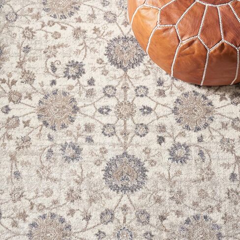 SAFAVIEH Sofia Collection 3' x 5' Light Grey/Beige SOF330B Vintage Oriental Distressed Non-Shedding Living Room Bedroom Accent Rug in Saudi Arabia