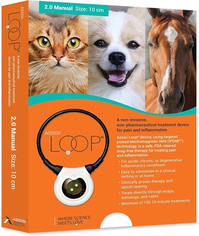 Assisi Loop 2.0 Manual Size: 10 cm Drug Free Therapy Treats Pain and Inflammation Acute or Chronic Conditions 150 Treatments, 1 Count (Pack of 1) in Saudi Arabia