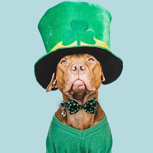 lasuroa 2pcs عيد القديس باتريك طوق القط، قابل للتعديل أربع أوراق البرسيم القط طوق القديس باتريك يوم القط القوس التعادل محظوظ الكلب طوق طوق القط مع أجراس للحيوانات الاليفة عيد الميلاد هدية عيد الشكر in Kuwait