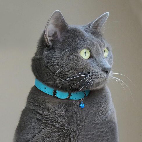 Murom Leather Cat Collar with Bell Adjustable Small Pet Kitten Collars Black Brown Pink Blue (Sky Blue) in Kuwait