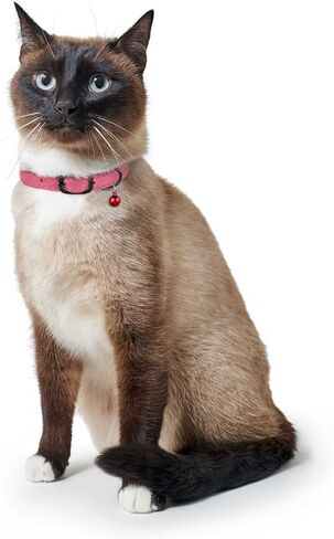 Murom Leather Cat Collar with Bell Adjustable Small Pet Kitten Collars Black Brown Pink Blue (Sky Blue) in Kuwait