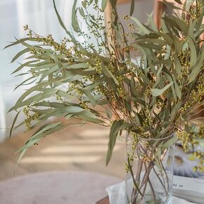 Natural Stem Seeded Eucalyptus - Natural Greenery Branches for Shower, Wedding, and Home Decor in Saudi Arabia