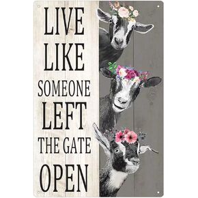 Goat Wooden Sign Live Like Someone Left The Gate Open Funny Poster Farm Cafe Living Room Kitchen Home Bathroom Art Wall Decoration Plaque 8inch X 12inch in Kuwait