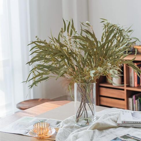 Professional Stem Seeded Eucalyptus - Preserved Greenery Branches for Shower, Wedding, and Home Decor in Saudi Arabia