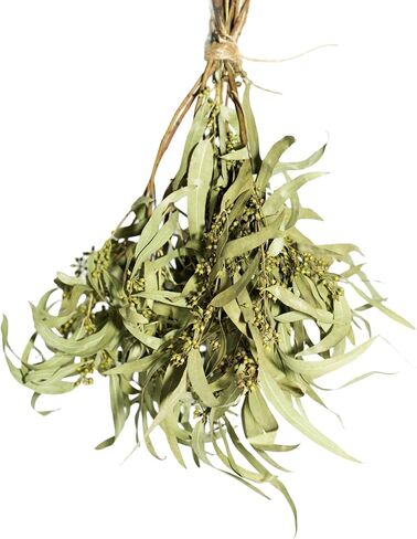 Professional Stem Seeded Eucalyptus - Preserved Greenery Branches for Shower, Wedding, and Home Decor in Saudi Arabia
