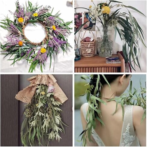 Professional Stem Seeded Eucalyptus - Preserved Greenery Branches for Shower, Wedding, and Home Decor in Saudi Arabia