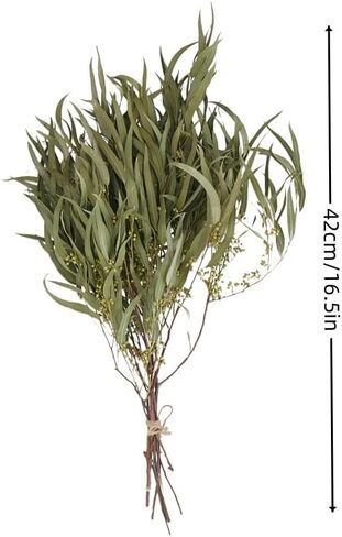 Professional Stem Seeded Eucalyptus - Preserved Greenery Branches for Shower, Wedding, and Home Decor in Saudi Arabia