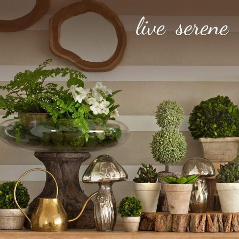Serene Spaces Living Glass Bottle Bud Vases Set of 6, Vintage Square Bottle Style - Elegant Vases, 4.5" Tall by 2" Square in Saudi Arabia