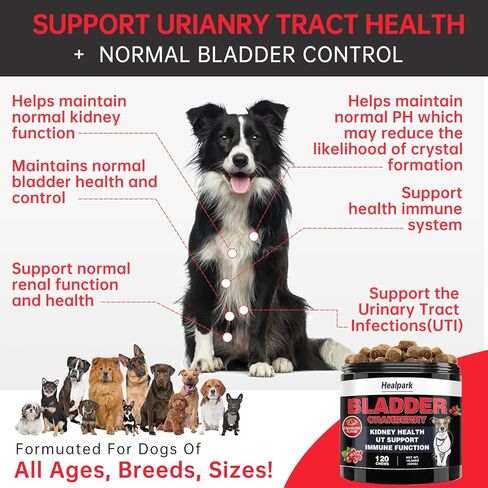 التوت البري للكلاب علاج التهاب المسالك البولية - ملحق صحة المسالك البولية والمثانة والكلى. مع Astragalus، D-Mannose، يدعم سلس البول، والتهابات المثانة والحصوات، ومشاكل الجهاز الهضمي، 120 مضغًا in Kuwait