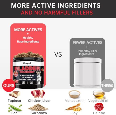 التوت البري للكلاب علاج التهاب المسالك البولية - ملحق صحة المسالك البولية والمثانة والكلى. مع Astragalus، D-Mannose، يدعم سلس البول، والتهابات المثانة والحصوات، ومشاكل الجهاز الهضمي، 120 مضغًا in Kuwait