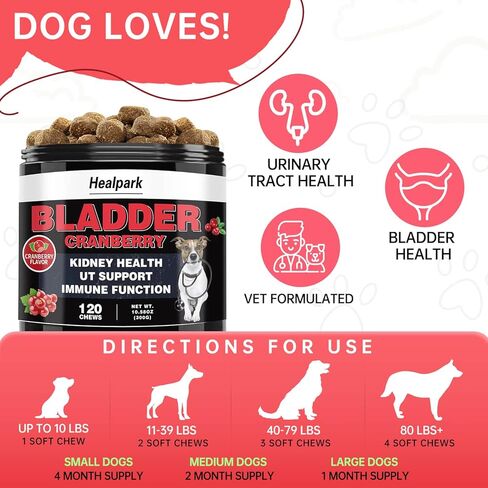 التوت البري للكلاب علاج التهاب المسالك البولية - ملحق صحة المسالك البولية والمثانة والكلى. مع Astragalus، D-Mannose، يدعم سلس البول، والتهابات المثانة والحصوات، ومشاكل الجهاز الهضمي، 120 مضغًا in Kuwait