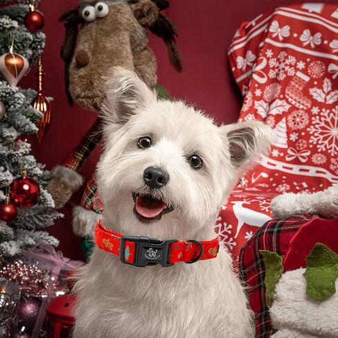 طوق كلب أنيق بذيل صغير لعيد الميلاد، طوق أخضر للحيوانات الأليفة، أطواق كلب منقوشة متينة، هدية للعطلات للفتيات أو الصبيان، طوق كلب قابل للتعديل لجرو X-Small in Kuwait