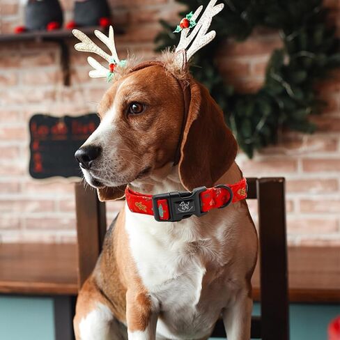 طوق كلب أنيق بذيل صغير لعيد الميلاد، طوق أخضر للحيوانات الأليفة، أطواق كلب منقوشة متينة، هدية للعطلات للفتيات أو الصبيان، طوق كلب قابل للتعديل لجرو X-Small in Kuwait