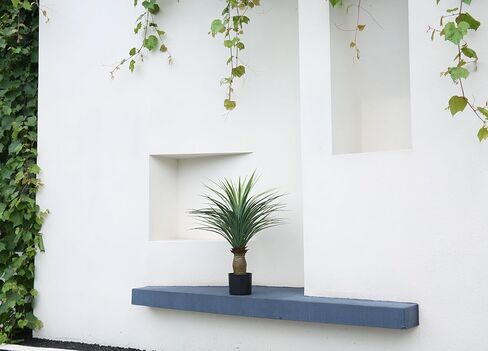 2.6 Feet (31") Artificial Horsetail Iron Tree Trimming Shrub Simulation Agave Greenery Bonsai Indoor Home Decorative Items in Kuwait