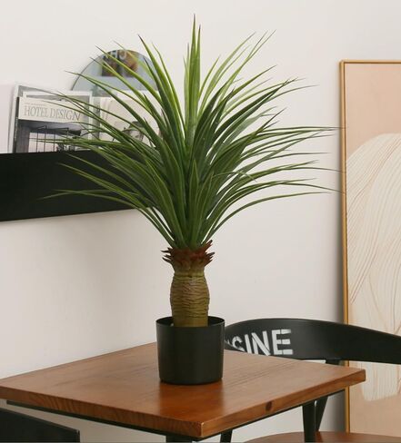 2.6 Feet (31") Artificial Horsetail Iron Tree Trimming Shrub Simulation Agave Greenery Bonsai Indoor Home Decorative Items in Kuwait