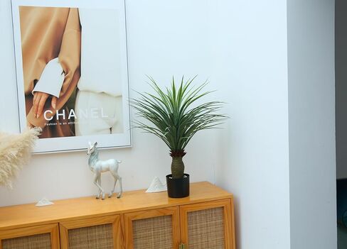 2.6 Feet (31") Artificial Horsetail Iron Tree Trimming Shrub Simulation Agave Greenery Bonsai Indoor Home Decorative Items in Kuwait