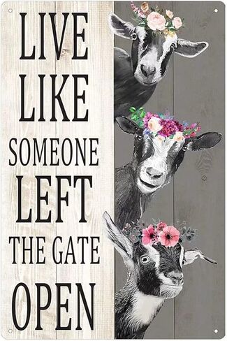 Goat Wooden Sign Live Like Someone Left The Gate Open Funny Poster Farm Cafe Living Room Kitchen Home Bathroom Art Wall Decoration Plaque 8inch X 12inch in Kuwait