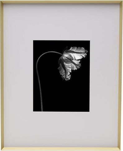 Mikasa Metal Portrait Frame, Displays 8x10 Photo with Mat, 16x20 without Mat, Black in Saudi Arabia